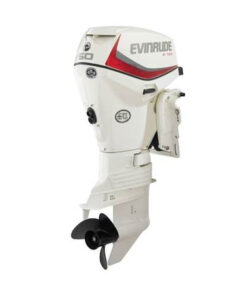 2019 EVINRUDE 50 HP E50DSL OUTBOARD MOTOR